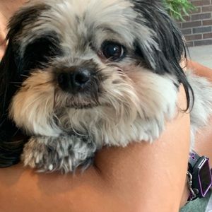 Meet your Posher, Raechel